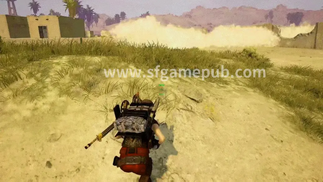 梦幻西游, 角色养成