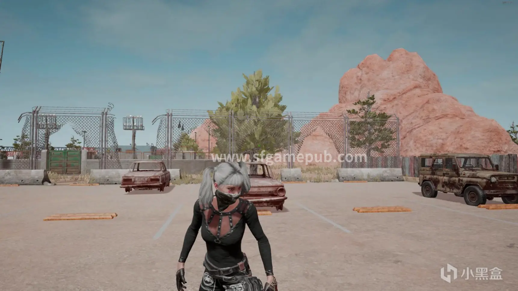 梦幻西游私服游戏界面