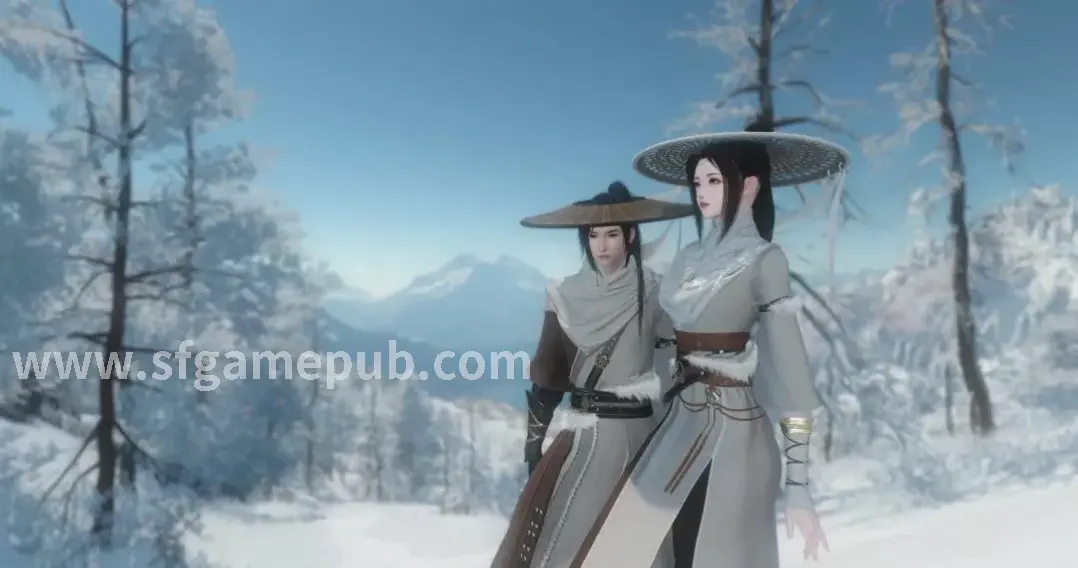 梦幻西游PK站位示例