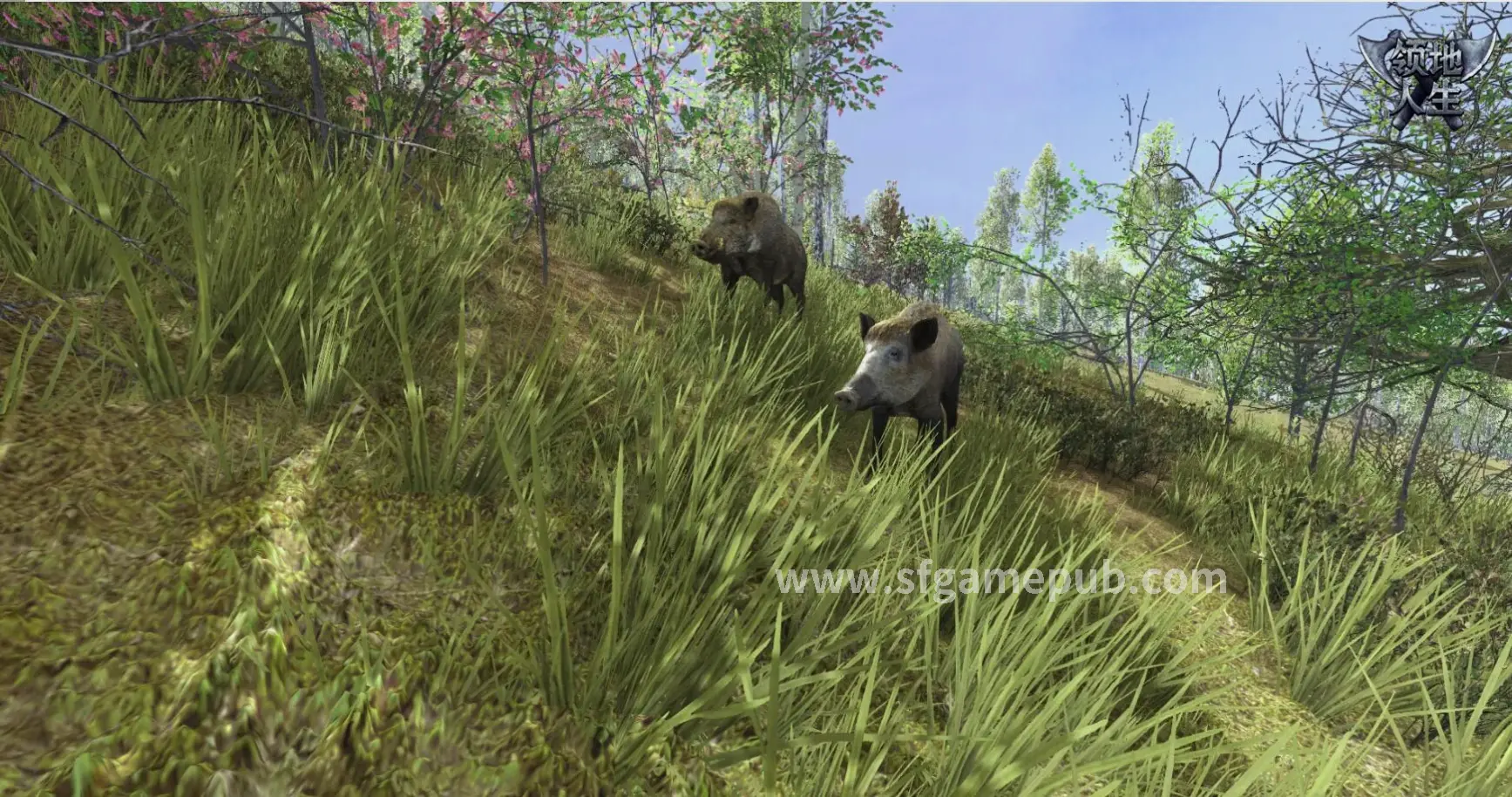 梦幻西游角色养成